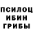 Галлюциногенные грибы Cubensis Ivan Mudrov