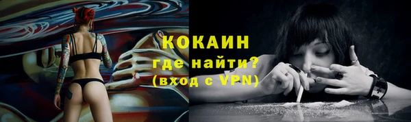 apvp Богородск
