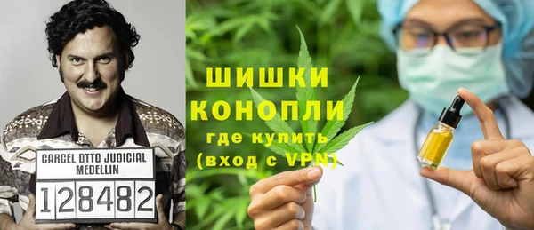 ПСИЛОЦИБИНОВЫЕ ГРИБЫ Белокуриха
